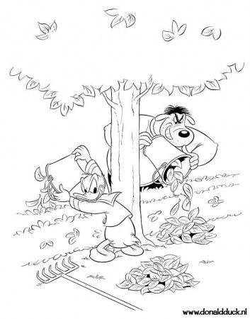 Donald en bolderbats